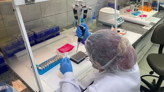 Entenda quem pode participar da coleta de DNA e como o ITEP está facilitando o processo para famílias de desaparecidos. - Divulgação