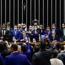 Câmara dos Deputados atualiza seu regimento interno, restringindo adiamentos e promovendo a continuidade das votações. - Divulgação