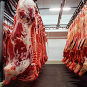 A carne bovina in natura respondeu por 88,27% dos embarques, com 276,9 mil toneladas. Os miúdos representaram 6,23% e os produtos industrializados, 3,27% - Reprodução/Internet