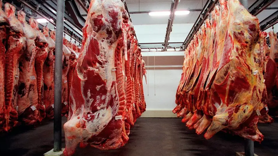 A carne bovina in natura respondeu por 88,27% dos embarques, com 276,9 mil toneladas. Os miúdos representaram 6,23% e os produtos industrializados, 3,27% - Reprodução/Internet