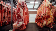 A carne bovina in natura respondeu por 88,27% dos embarques, com 276,9 mil toneladas. Os miúdos representaram 6,23% e os produtos industrializados, 3,27% - Reprodução/Internet