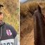 Andrey Guilherme Nogueira de Queiroz, de 21 anos, confessou ter mutilado um cavalo sob efeito de álcool, chocando a internet. - Divulgação
