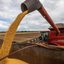 México assume liderança nas importações do agro brasileiro e fortalece negociações - Reprodução