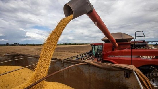México assume liderança nas importações do agro brasileiro e fortalece negociações - Reprodução