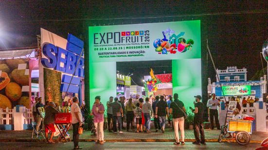 Foto: Reprodução.