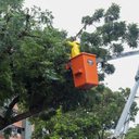 Prefeitura de Natal realiza intervenção na Avenida Mossoró nesta quinta-feira (21) - Reprodução