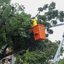Prefeitura de Natal realiza intervenção na Avenida Mossoró nesta quinta-feira (21) - Reprodução