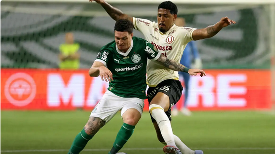 Palmeiras segura empate e segue para quartas da Libertadores - Reprodução