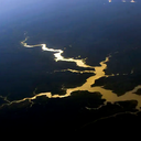 Brasil e França reforçam parceria científica em prol da Amazônia - Reprodução