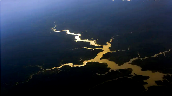 Brasil e França reforçam parceria científica em prol da Amazônia - Reprodução