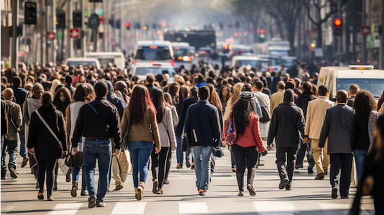 Brasil reduz desigualdades em educação, trabalho e meio ambiente - Reprodução