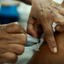 Quatro estados apresentam aumento de síndrome respiratória por covid - Reprodução