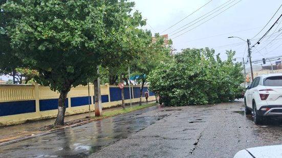 Foto: Divulgação/ STTU.