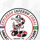 Fim da parceria entre torcidas organizadas de Santa Cruz e América - Reprodução
