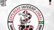 Fim da parceria entre torcidas organizadas de Santa Cruz e América - Reprodução