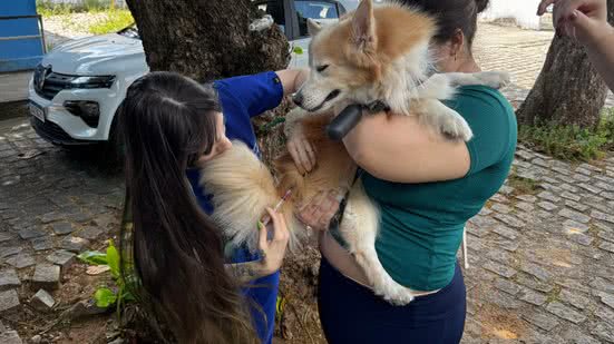 Mais de 5 mil animais são imunizados no Dia D da Campanha Antirrábica em Natal