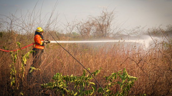 O Corpo de Bombeiros reforça medidas simples que ajudam a proteger o meio ambiente e a segurança da comunidade - Divulgação/CBMRN