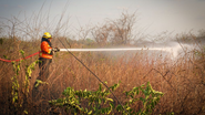O Corpo de Bombeiros reforça medidas simples que ajudam a proteger o meio ambiente e a segurança da comunidade - Divulgação/CBMRN