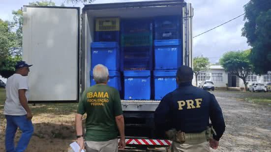 A Polícia Rodoviária Federal informou que está em busca de mais informações sobre o caso - Divulgação/PRF