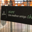 Reprodução/Assessoria