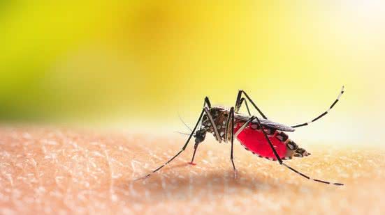 Brasil gasta R$ 1,2 bilhão com casos de dengue e chikungunya entre 2015 e 2024