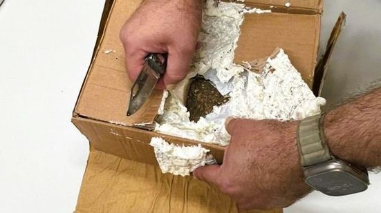 Imagem Cão farejador da PF encontra em Natal droga enviada pelos Correios