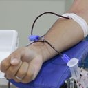 Iniciativa da Câmara Municipal em parceria com Hemonorte atraiu 126 doadores, com 94 aptos a doar sangue. - Foto: Câmara de Parnamirim/Divulgação