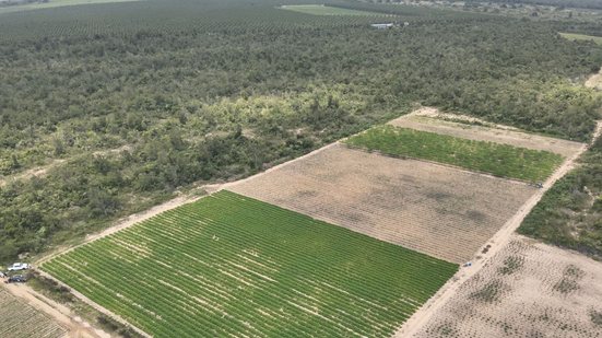 Imagem RN tem mais de 110 hectares fiscalizados em operação nacional