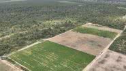 Imagem RN tem mais de 110 hectares fiscalizados em operação nacional