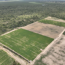 Imagem RN tem mais de 110 hectares fiscalizados em operação nacional