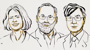Mary E. Brunkow, Fred Ramsdell e Shimon Sakaguchi, vencedores do Nobel 2025 - Reprodução/Nobel Prize