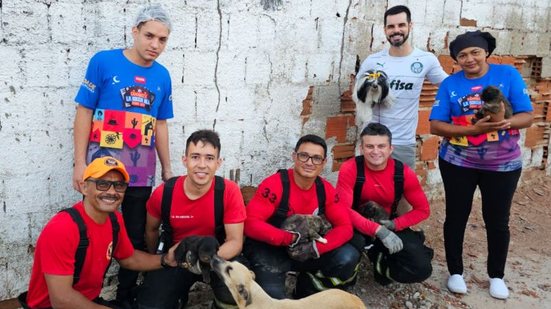 Todos os animais foram resgatados com vida - Reprodução/CBMRN
