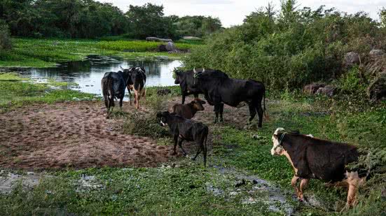 De acordo com a Caern, dez cidades já vivem situação de colapso ou pré-colapso no abastecimento, afetando diretamente 108 mil pessoas - Joana Lima/Assecom