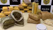 No local, os policiais apreenderam cerca de 20kg de entorpecentes, sendo maconha e cocaína - Divulgação/Polícia Civil do RN