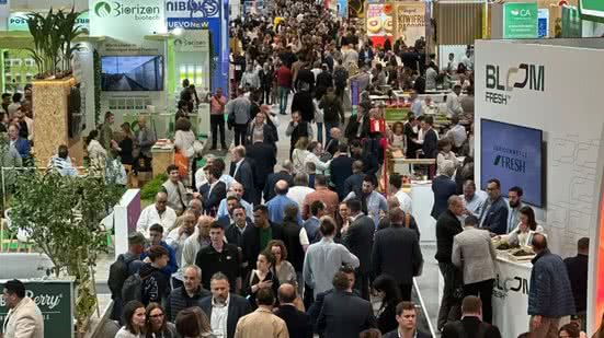 Produtores do Rio Grande do Norte participam da Fruit Attraction para expandir exportações de melão e limão para a Europa. - Divulgação