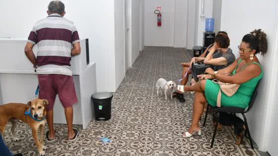 O hospital, que funciona de segunda a sexta, é uma alternativa viável para tutores que buscam atendimento de qualidade para seus pets. - Divulgação