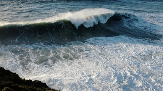 Reprodução/ Unsplash