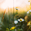 Reprodução/ Unsplash