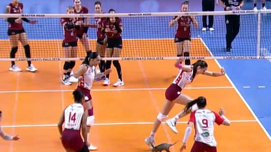 Gambá invade quadra na semifinal do Campeonato Paulista de vôlei