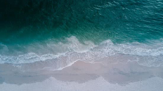 Reprodução/Pexels