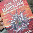 Reprodução/Assessoria