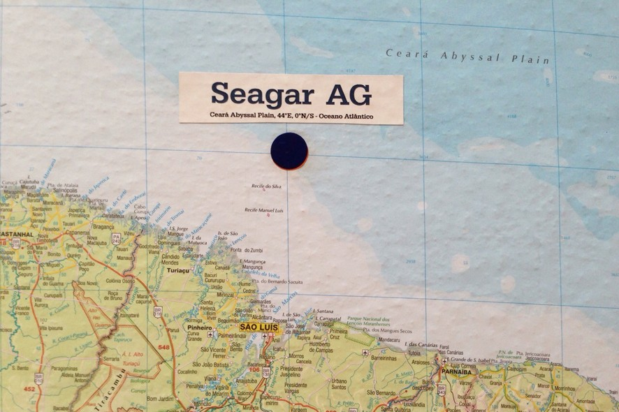 Seagarland