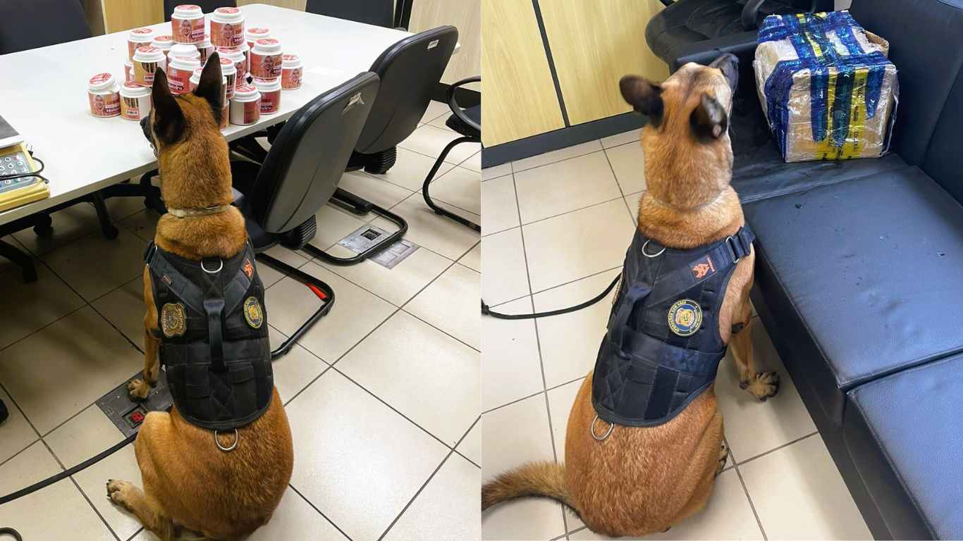 Foto: Polícia Federal.