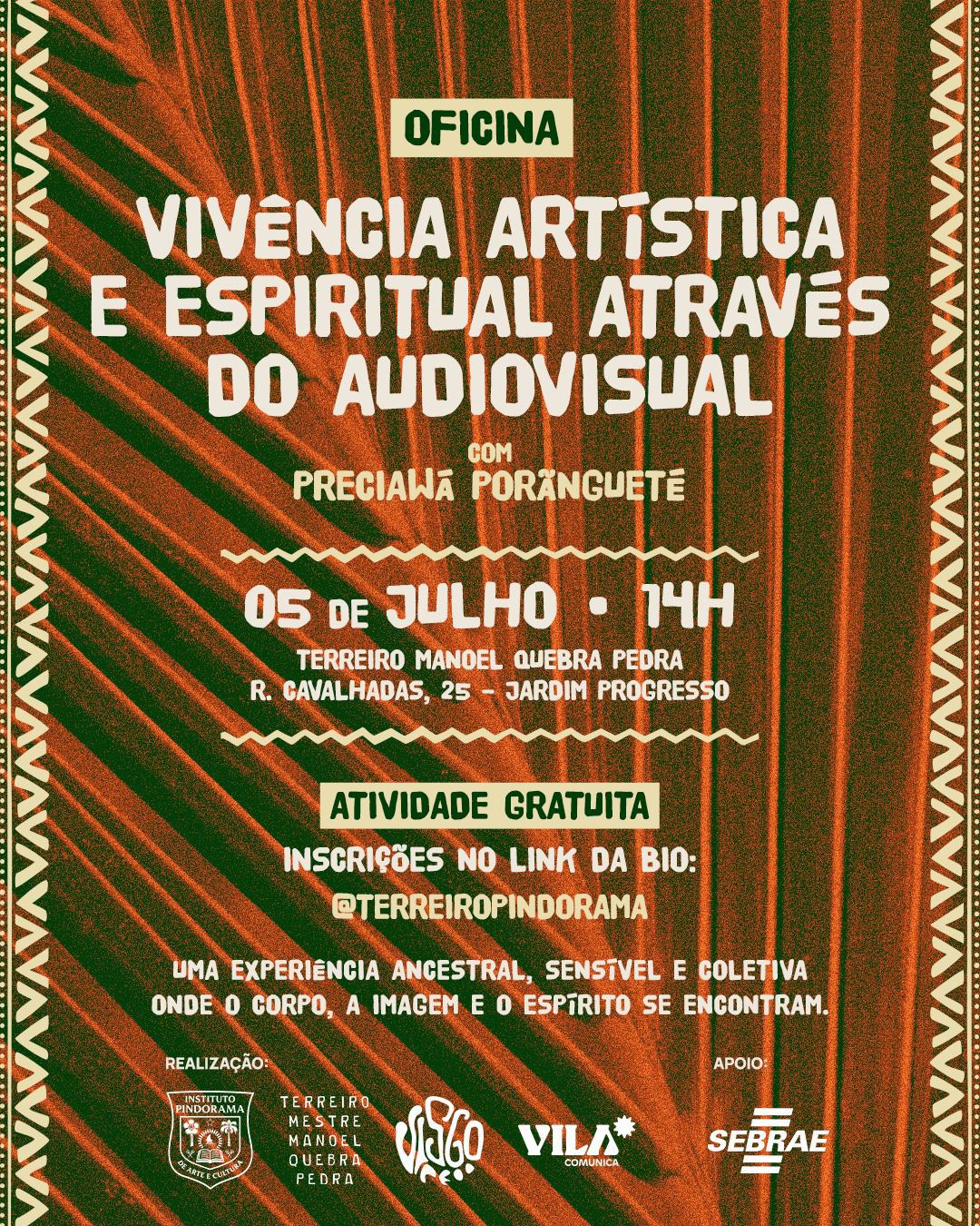 divulgação
