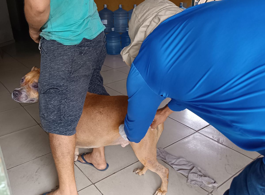 Foto: divulgação/ SMS.