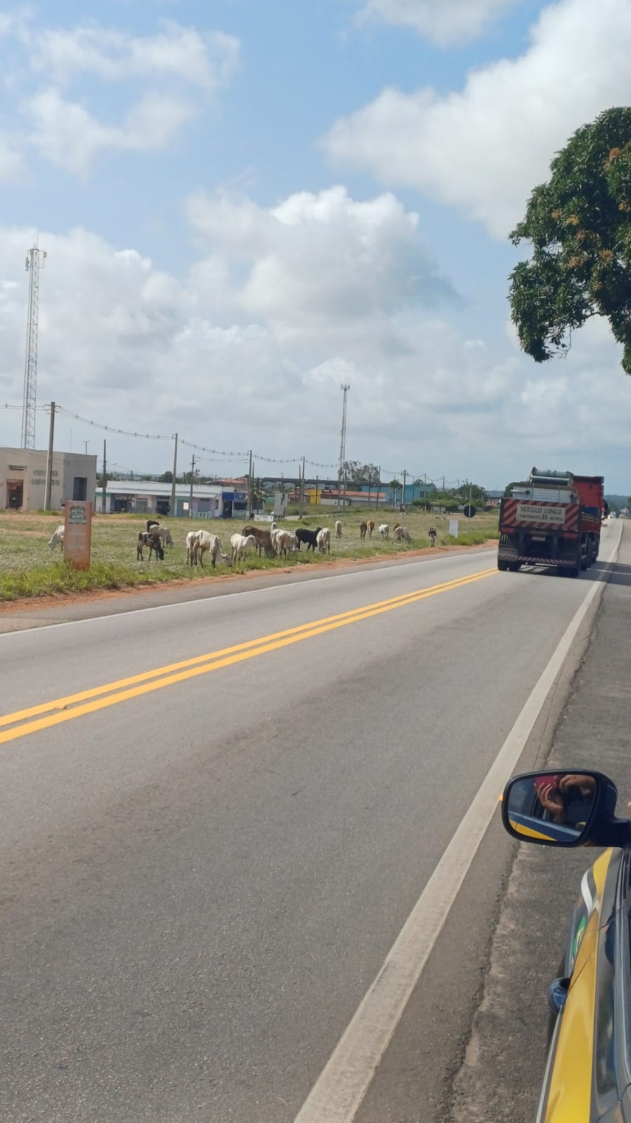 Trecho da estrada que a criança estava. Foto: Divulgação/PRF