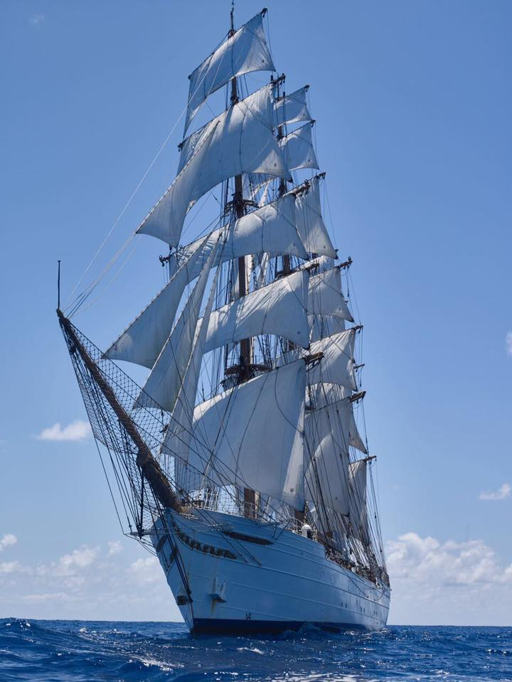 Cisne Branco é considerado o mais bonito navio da Marinha Brasileira / Foto: Marinha do Brasil