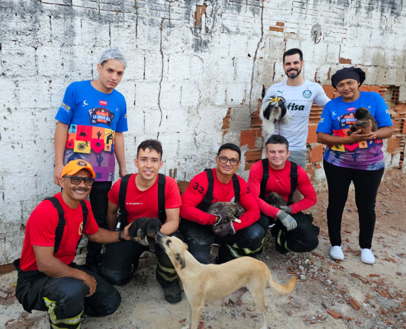 Bombeiros com os animais resgatados. Foto: Divulgação/CBMRN